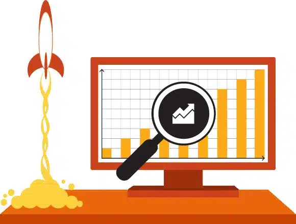 seo empresas de plagas
